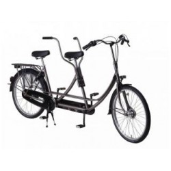 Tandem LINBIKE-E Electrisch Zilver